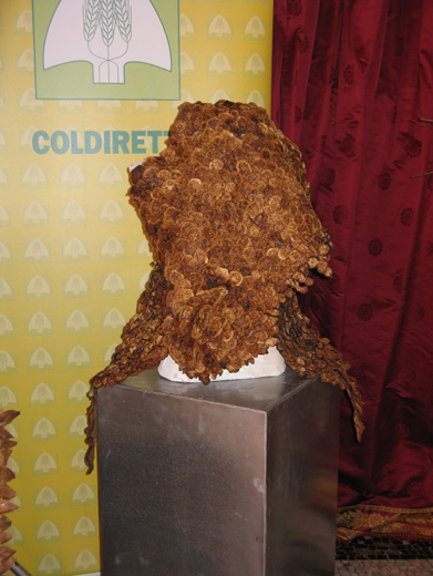 20101020 Италия, Черноббио. Показ одежды, созданной с использованием овощей и фруктов. Фотография Анны Беркутовой, ИА «РИА МОДА».