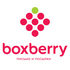 Служба доставки Boxberry подвела итоги работы за 9 месяцев 2023 года в странах ближнего зарубежья