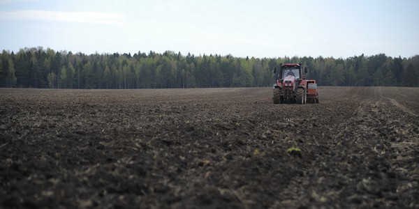 В Ивановской области посевная площадь под льном и коноплей составит более 1,8 тыс. га В Ивановской области посевная площадь под льном и коноплей составит более 1,8 тыс. га