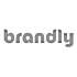 Платформа Brandly будет доставлять россиянам одежду брендов Zara и Lacoste