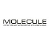 В Санкт-Петербурге открылся первый бутик селекторной косметики Molecule В Санкт-Петербурге открылся первый бутик селекторной косметики Molecule