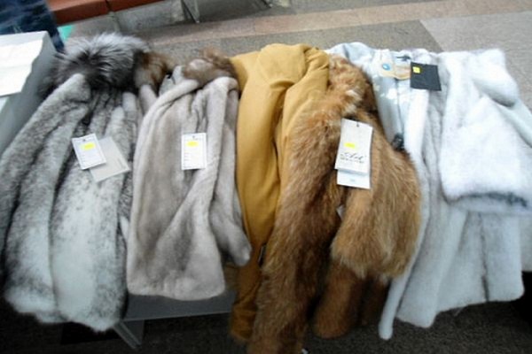 В Архангельской области выявлен ряд нарушений при реализации розничными предприятиями изделий из меха