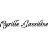 Cyrille Gassiline Team опубликовала лукбук весенне-летней коллекции 2015 года