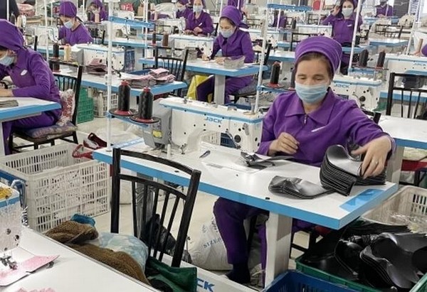 В Киргизии намерены уделять особое внимание качеству текстильного и кожевенного сырья