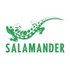 Ara Group объявила о создании нового зонтичного бренда Salamander & friends Ara Group объявила о создании нового зонтичного бренда Salamander & friends