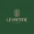 В Levantine пост проходит с артишоками В Levantine пост проходит с артишоками