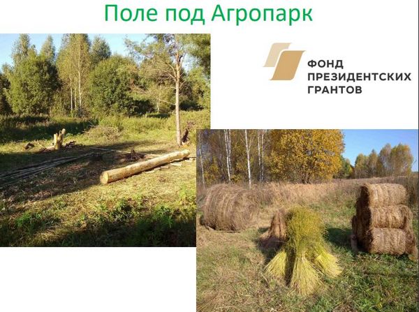 В Нижегородской области состоялось открытие агрошколы «Как рубашка в поле выросла»