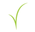 Новый сет Twins Easy появился в Twins Garden Новый сет Twins Easy появился в Twins Garden